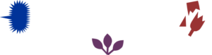 Pop im Kiez Toolbox